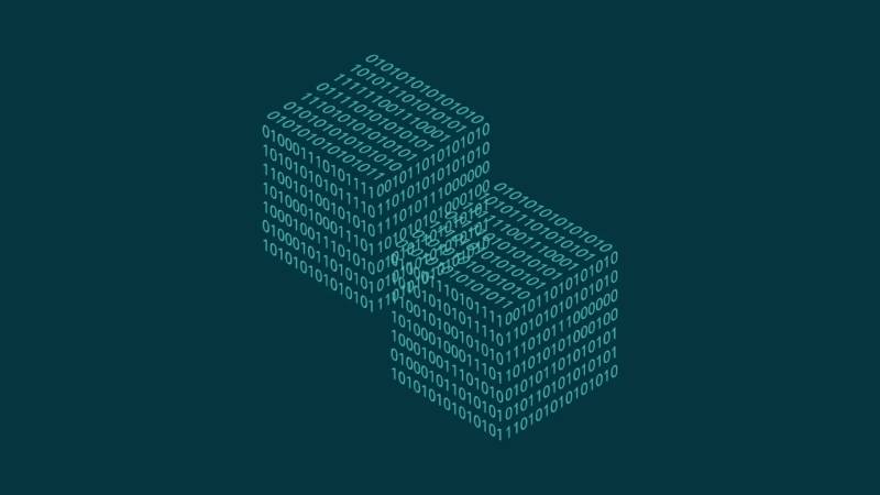 金山区信创改造：网络应用开发流程标准化的核心路径与实践